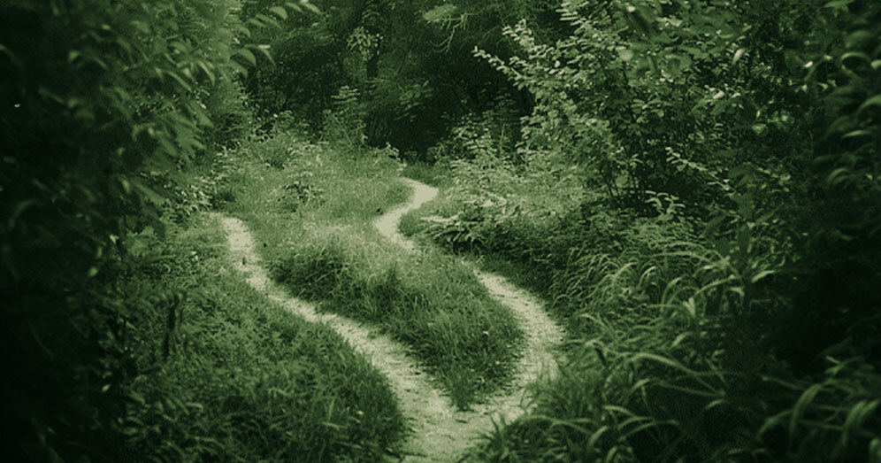 Path splitting in a forest, symbolizing the journey of navigating ABA therapy challenge